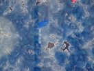 Ʒ - ²